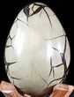 Septarian Dragon Egg Geode - Black Crystals #48001-2